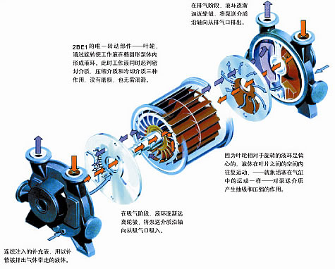 SK係列水環式真空泵結構圖