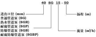 SGR係（xì）列熱水管道泵型號說明