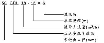 GDL型立式多（duō）級管道（dào）泵型號意義